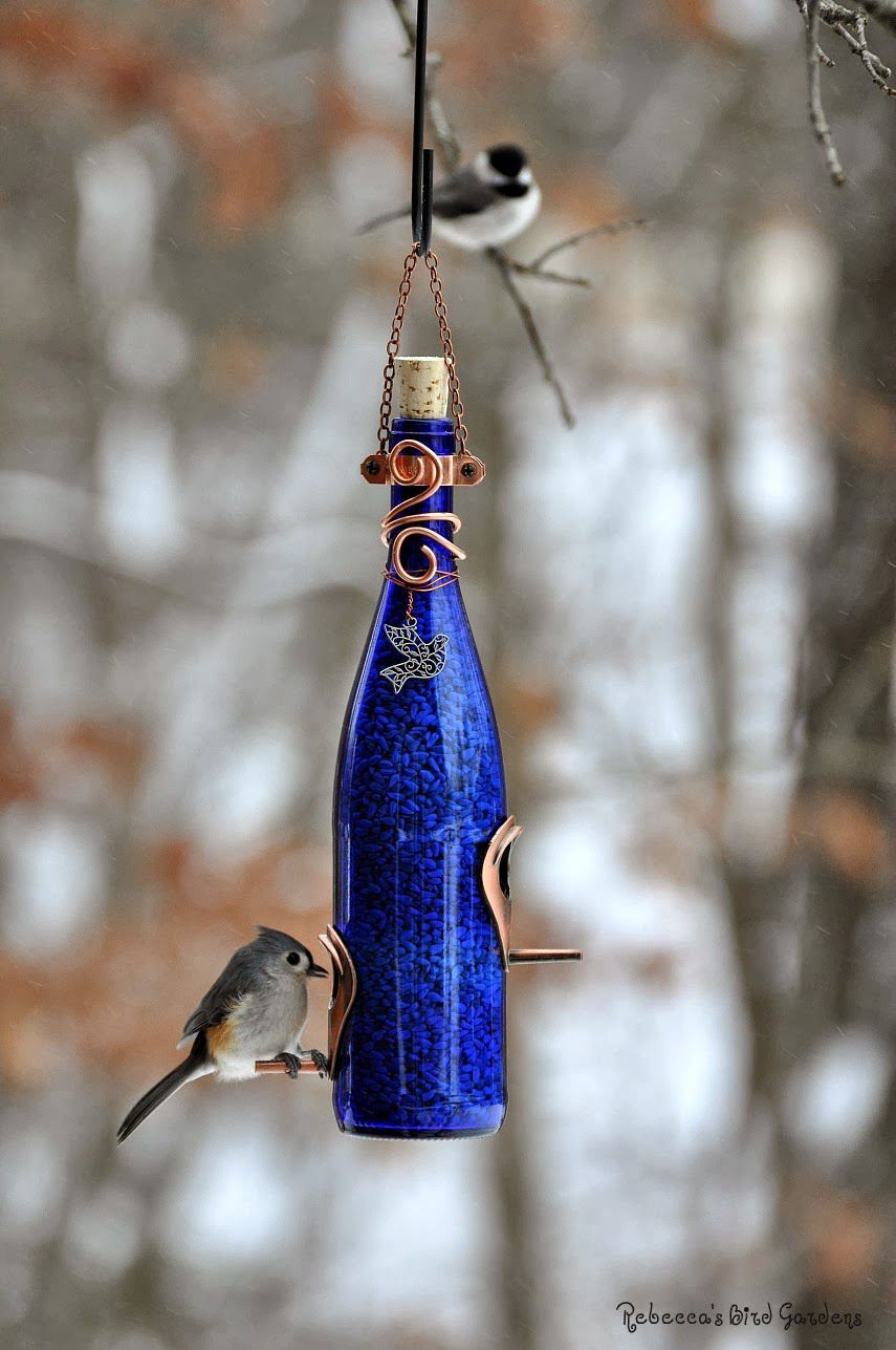 Create a bottle bird feeder